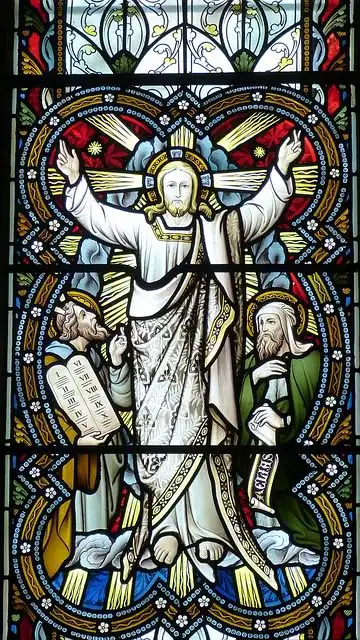 trans-guration image